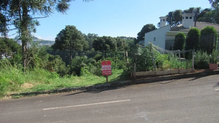 Foto do imóvel Terreno para Venda em Concórdia, Jardim em Loteamento Ditalia