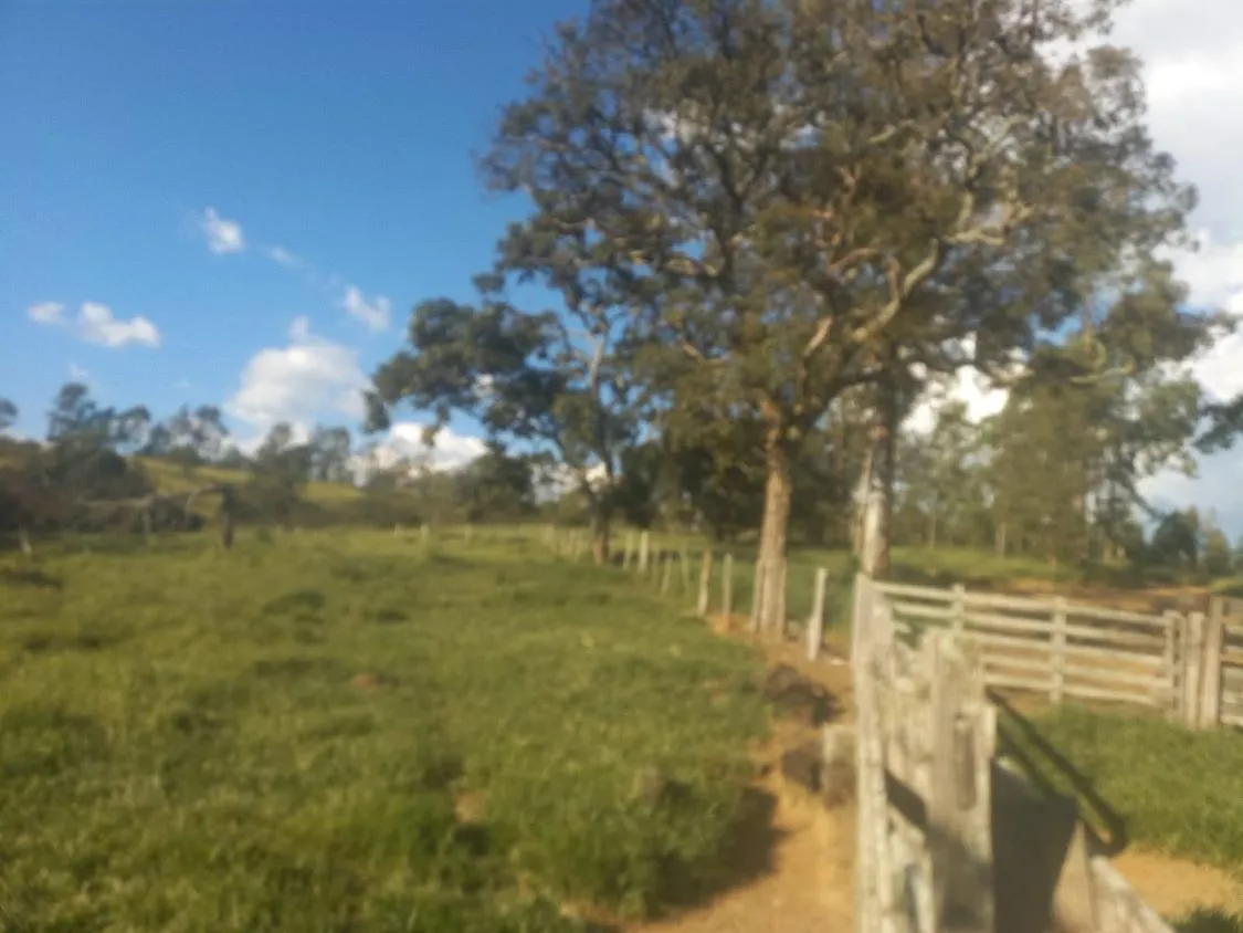 Imagem Excelente Terreno à Venda em Oliveira/MG: 34 Hectares com Boa Disponibilidade de Água