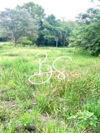 Imagem CHACARA RURAL em IGREJINHA - RS, Solitária Baixa