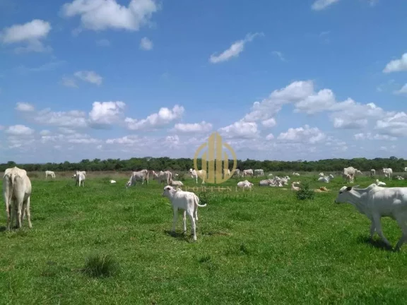 Imagem FAzenda Nova Xavantina