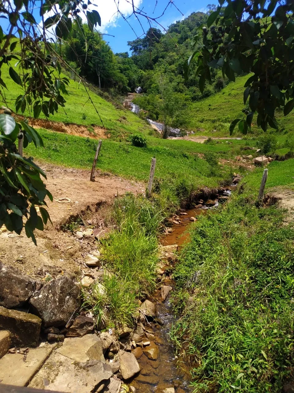Imagem FAZENDA COMPLETA E ESTRUTURADA PARA PECUÁRIA - 105,5 ALQUEIRES