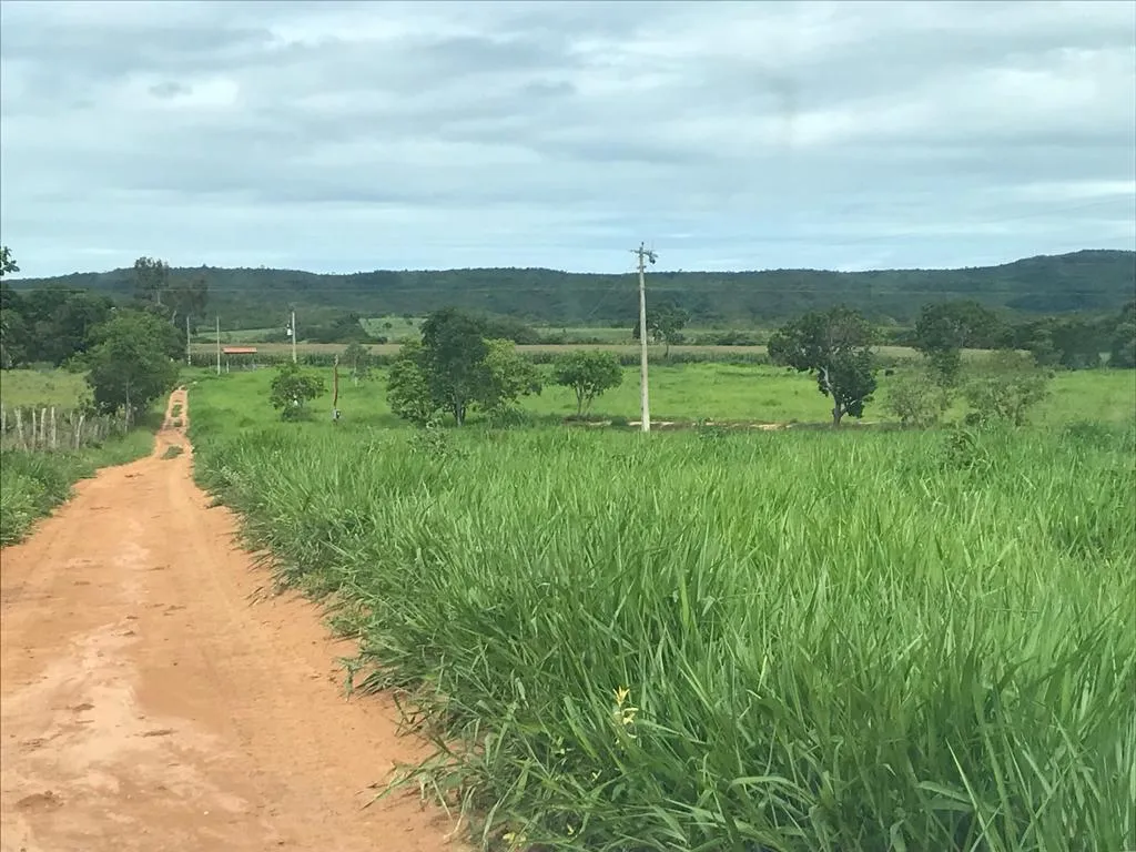 Imagem FAZENDA À VENDA - VÁRZEA DA PALMA (MG) 313 hectares de área total
