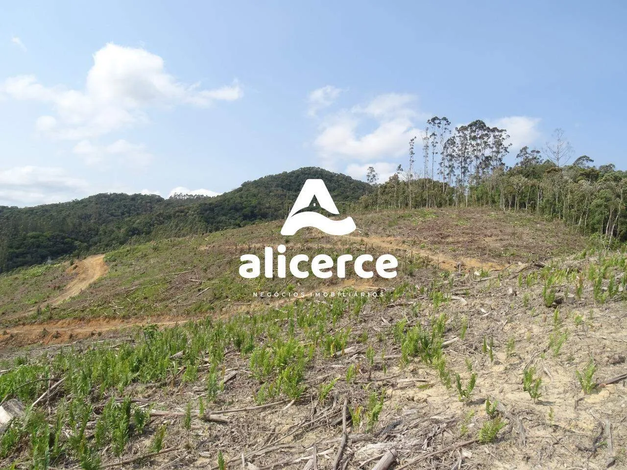 Imagem Área à venda com , 188.382m² em Área Rural de Biguaçu Biguaçu