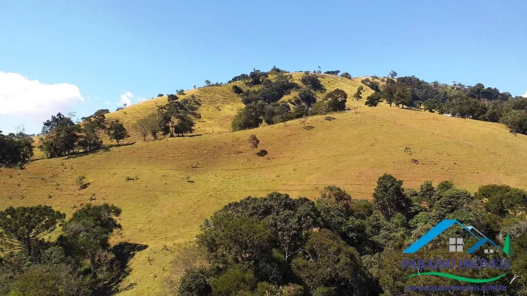 Imagem Paraíso Ecológico: Terreno com Nascente Própria e Vista Panorâmica.