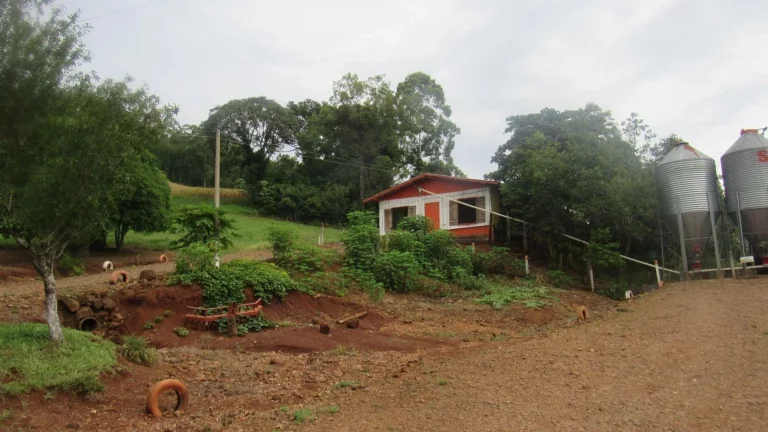 Imagem Área Agrícola para Venda em Três Arroios, Rural