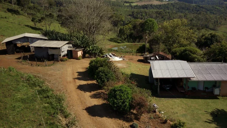 Imagem Área Agrícola para Venda em Concórdia, Rural