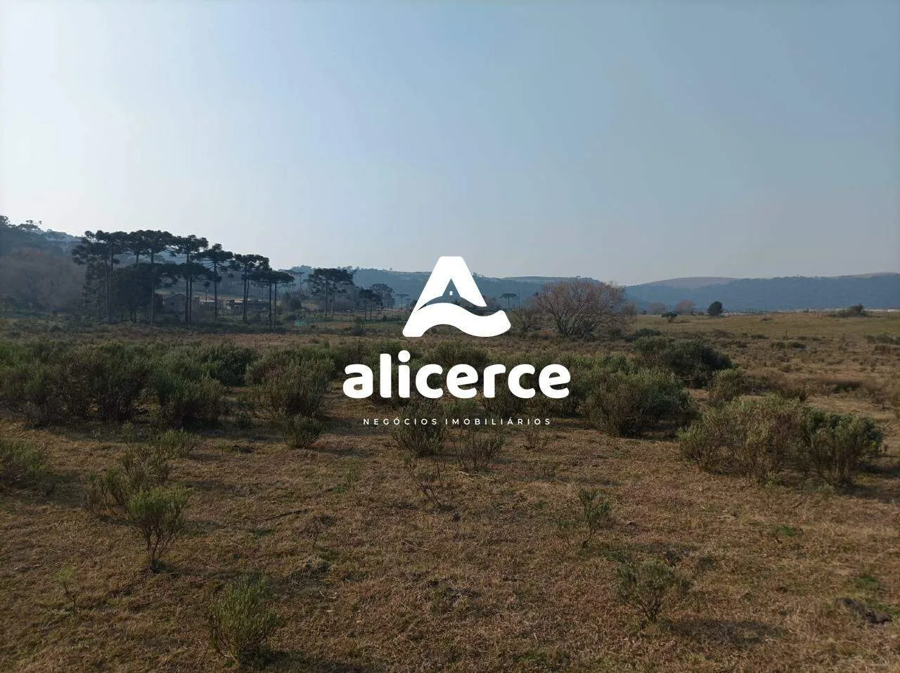 Imagem Fazenda Produtiva à Venda em São Joaquim/SC | 3.200 Macieiras | Araucárias | Lago | Nascente | Exclusividade Imobiliária Alicerce