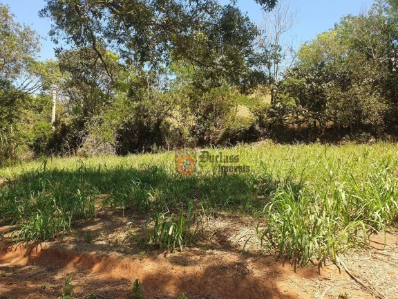 Imagem Sítio com 6 dormitórios à venda, 25400 m² por R$ 700.000 - Zona Rural - Cambuí/MG
