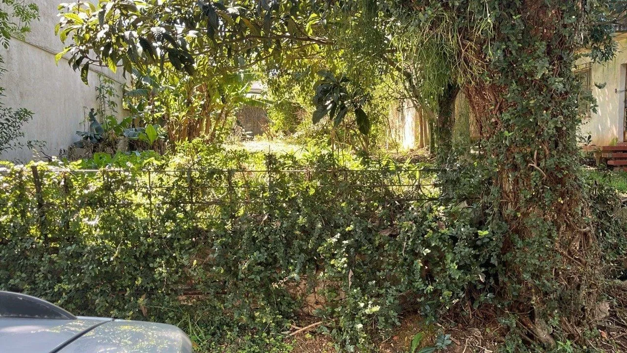 Imagem Terreno em Vila Ipiranga