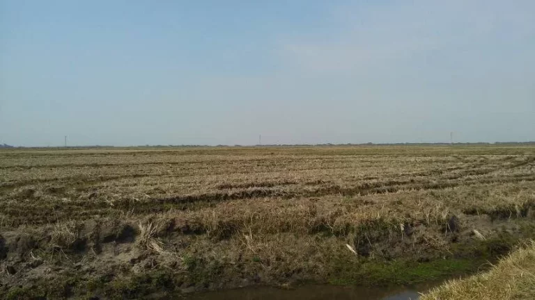 Imagem Fazenda à Venda – 194 Hectares – Viamão/RS