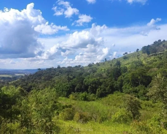 Imagem Área à venda no bairro Ribeirão dos Porcos - Atibaia/SP