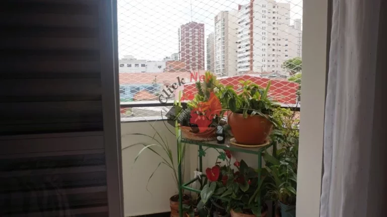 Imagem Espaçoso Apartamento à Venda no bairro Santa Paula em São Caetano