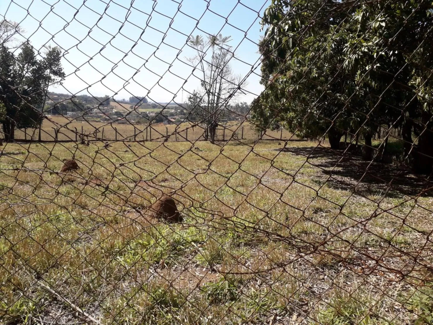 Imagem Terreno à venda Goiabal, Pindamonhangaba - SP