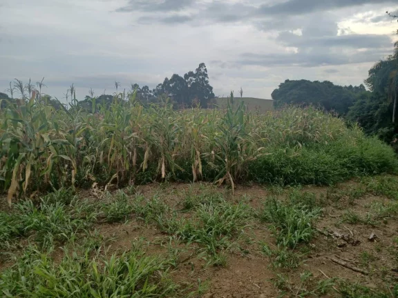 Imagem Área Agrícola para Venda em Irani, Interior