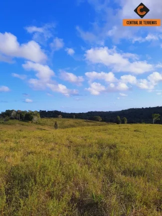 Imagem FAZENDA EM MATA DE SÃO JOÃO