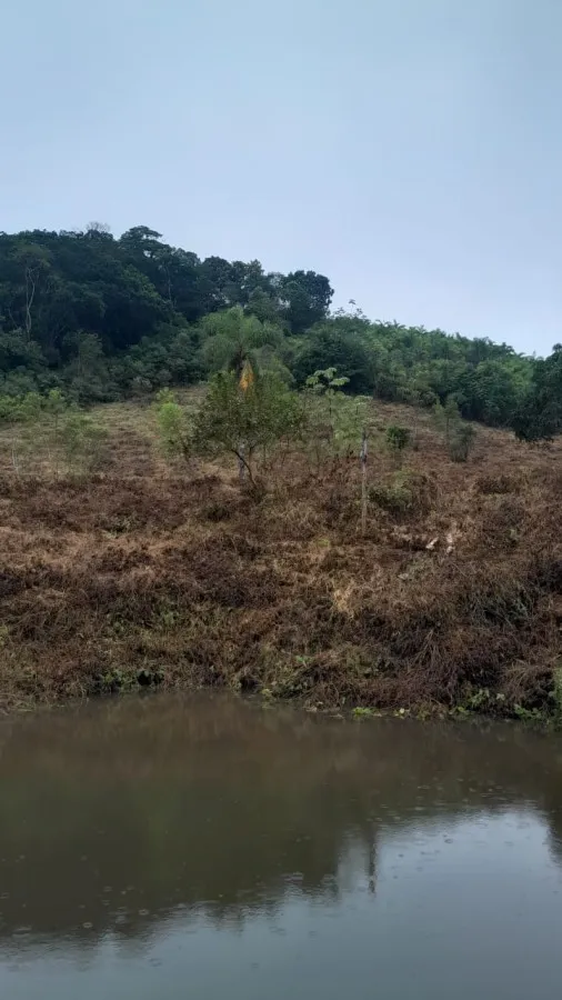 Imagem Sítio para Venda em Sete Barras, Rural