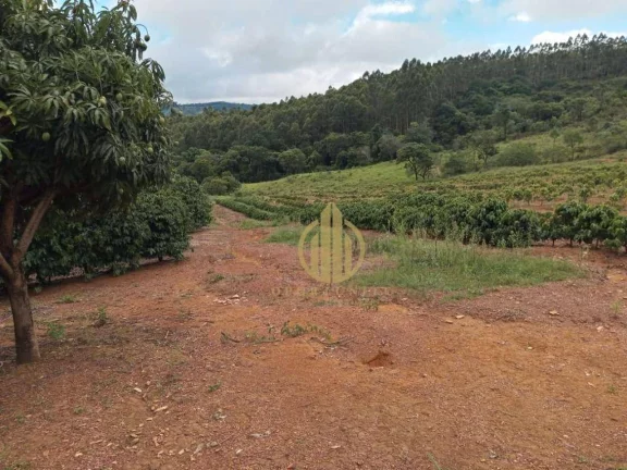Imagem Fazenda à venda no Municipio de Capitolio, 376000 m² por R$ 2.400.000 - Zona Rural - Capitólio/MG