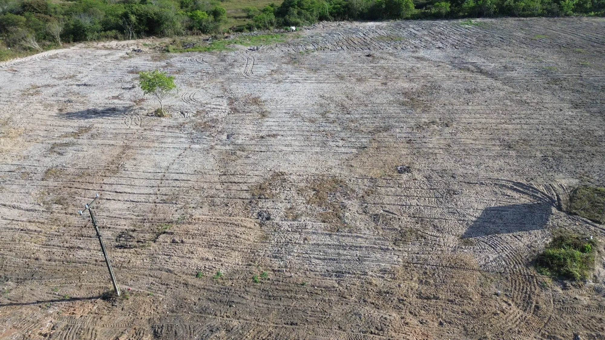 Imagem Terreno à Venda, 1328 metros em Fabrício Pedroza - Macaíba