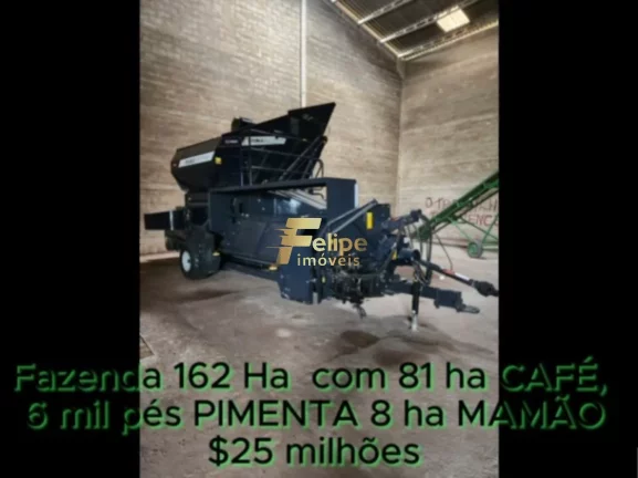 Imagem FAZENDA DE ALTO PADRÃO EM EUNÁPOLIS/BA 162 HECTARES DOCUMENTADOS 81 há de CAFÉ.