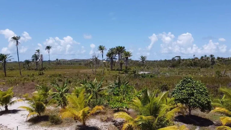 Imagem Sítio Taipu de Dentro