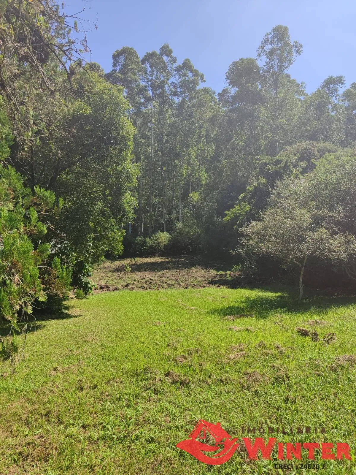 Imagem Área de terras com 7 hectares com casa e galpão em Vale do Lobo, Feliz.