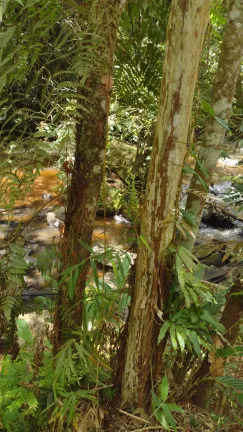 Imagem Terreno à Venda, 1.000 m² em Centro - Atibaia