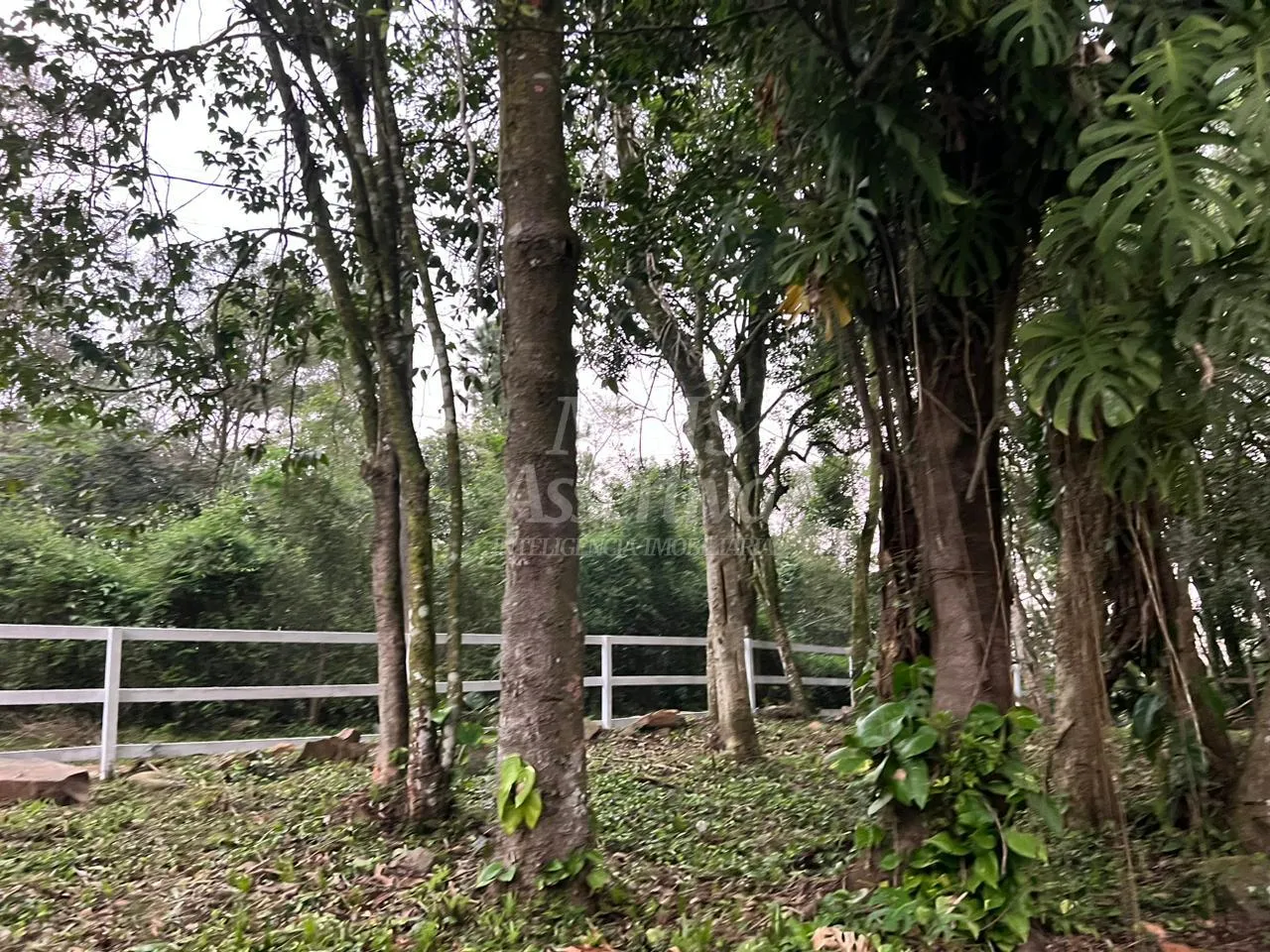 Imagem Sítio / Chácara 03 quartos para Venda no bairro Fazenda Fialho em Taquara