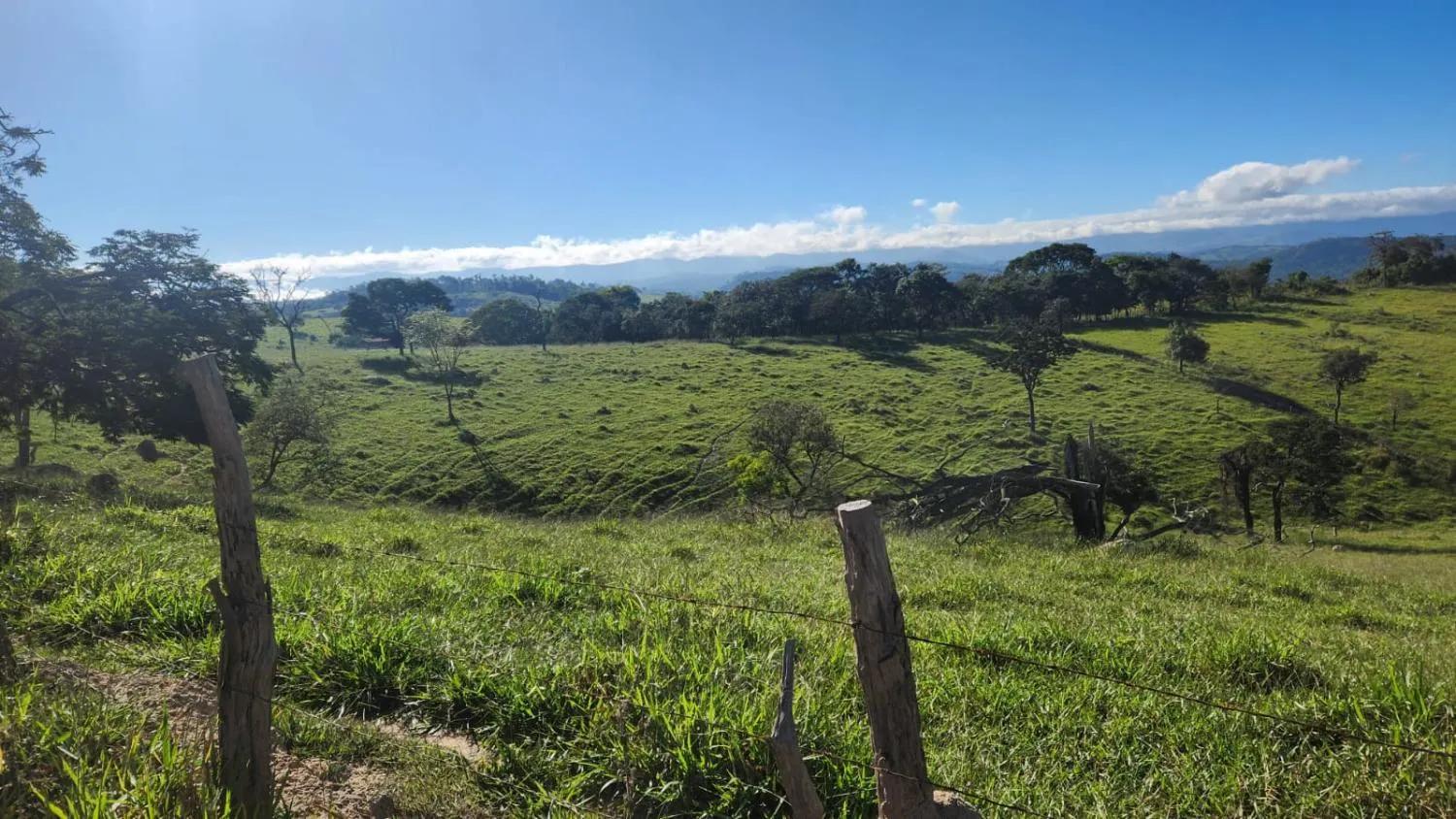 Imagem Vende-se excelente terreno em Bonfim/MG com Área total de 23 hectares, toda formada