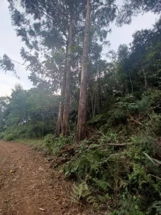 Imagem Área Agrícola para Venda em Irani, Interior