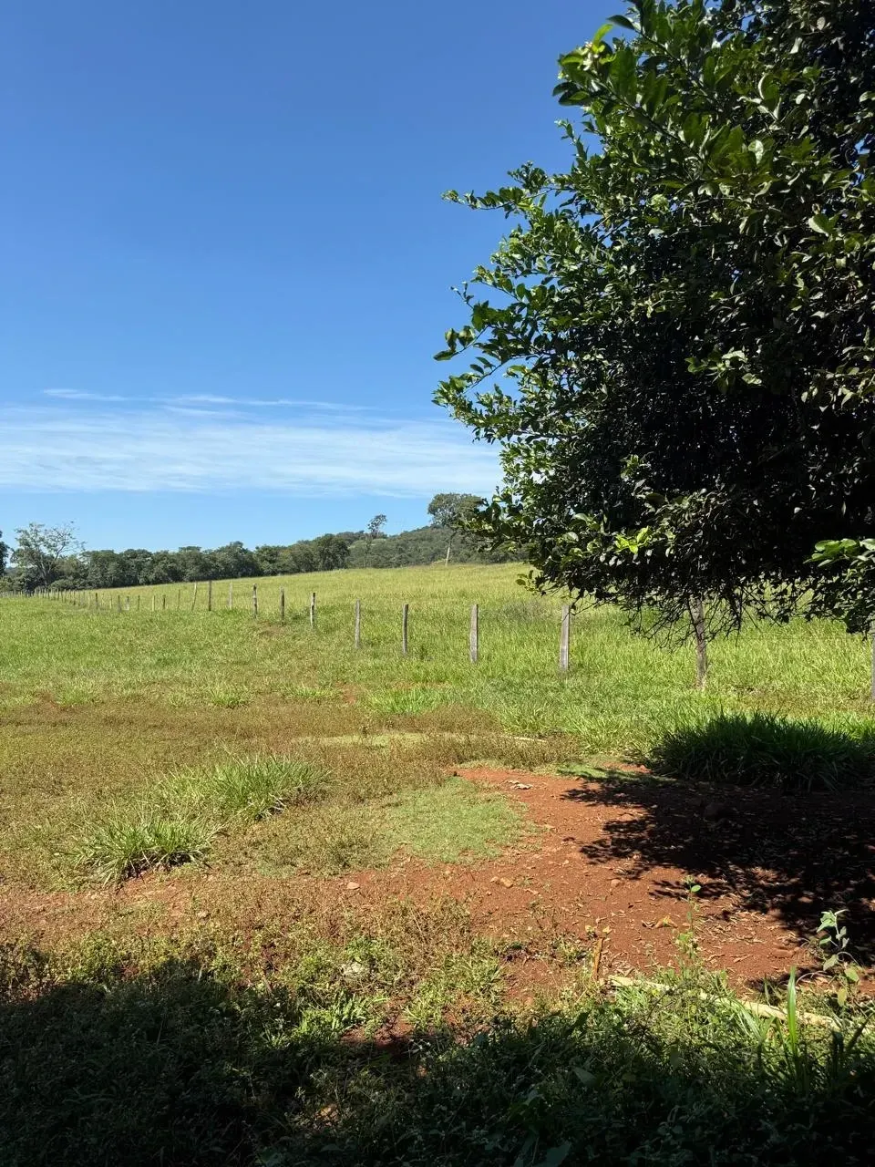 Imagem Fazenda à Venda, 28 Alq. GO em Área Rural de Itumbiara - Itumbiara