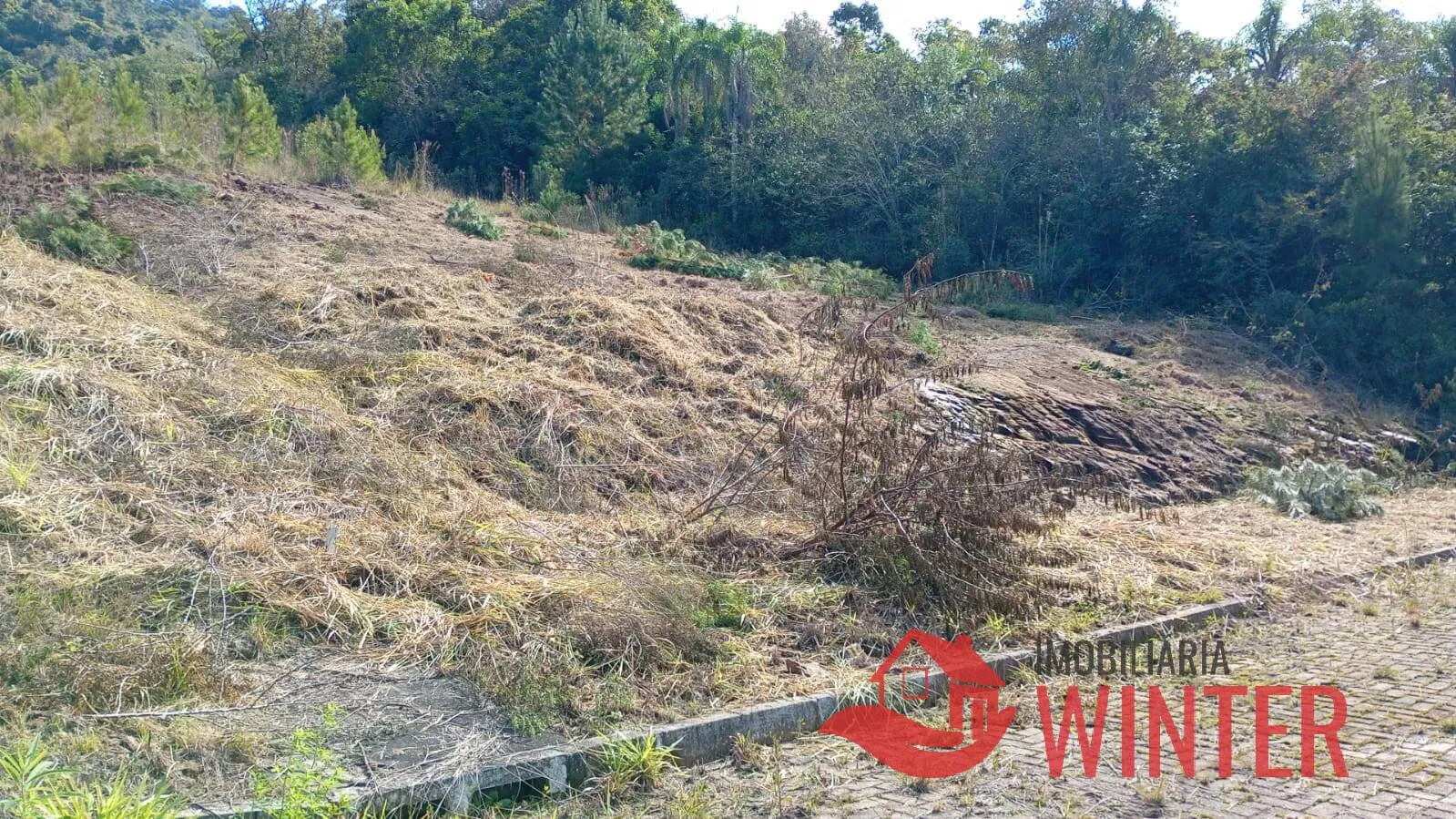 Imagem Terrenos a venda em Arroio do Ouro, Vale Real.