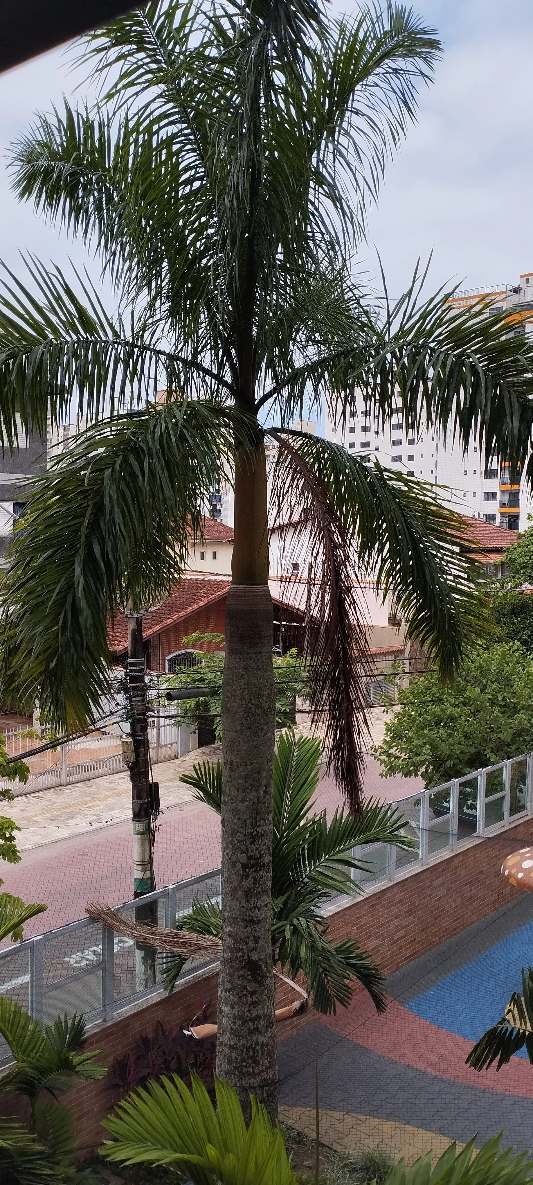 Imagem Amplo Apartamento na Praia Grande - TUPI - Perto da praia