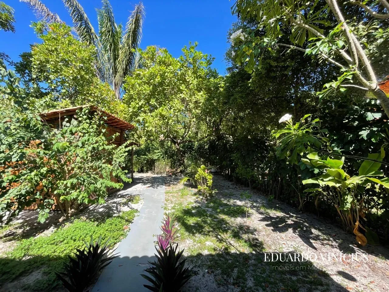 Imagem Vila do Coco - Casa com 2 Dormitórios à Venda na Quarta Praia do Morro de São Paulo
