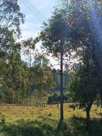 Imagem Área à venda, 20001 m² por R$ 430.000,00 - Cachoeira - Atibaia/SP
