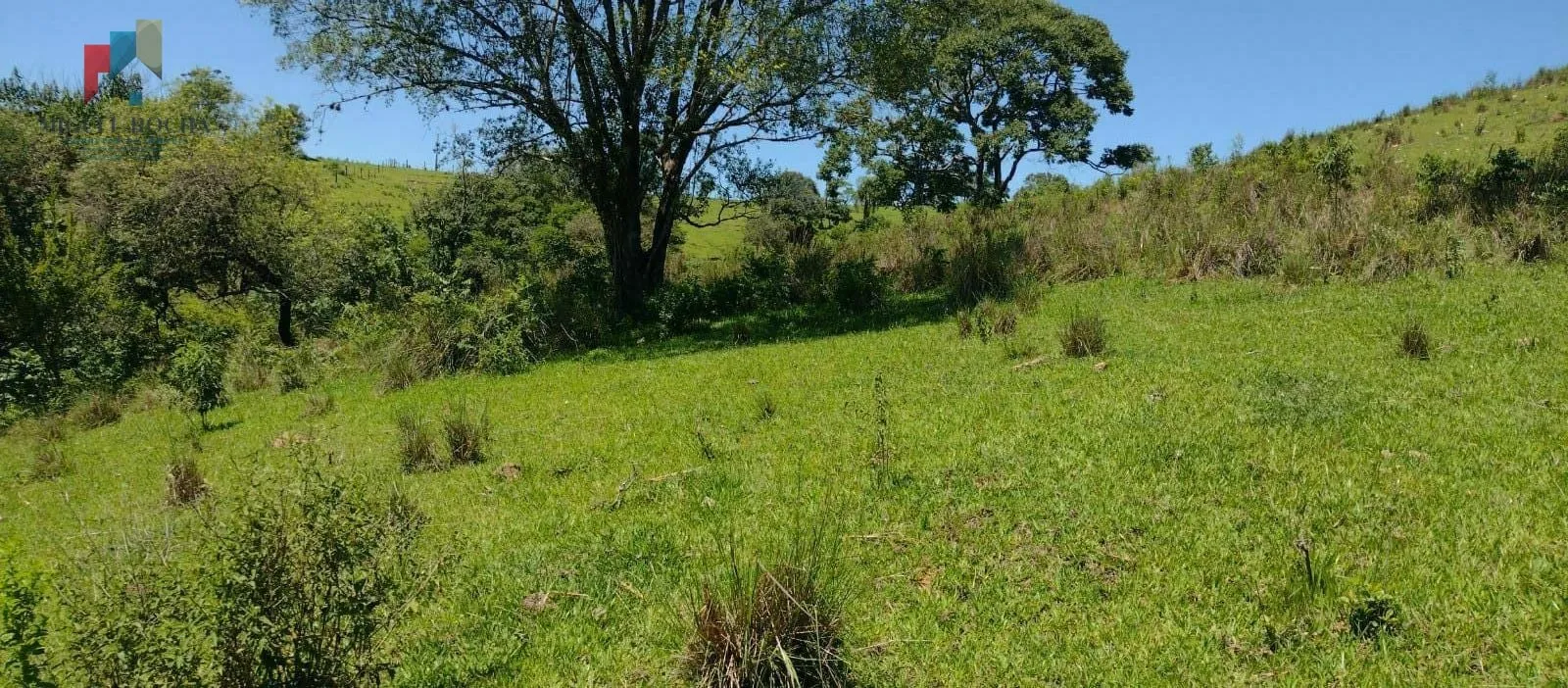 Imagem Sítio à venda no bairro Centro - Guareí/SP