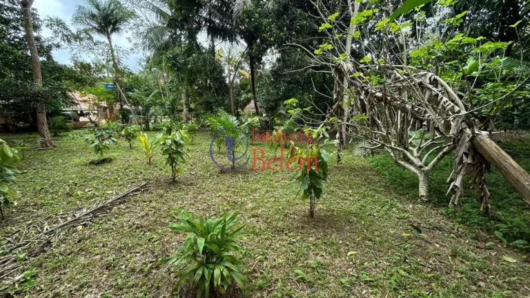 Imagem Imóveis Belém vende casa em Vigia