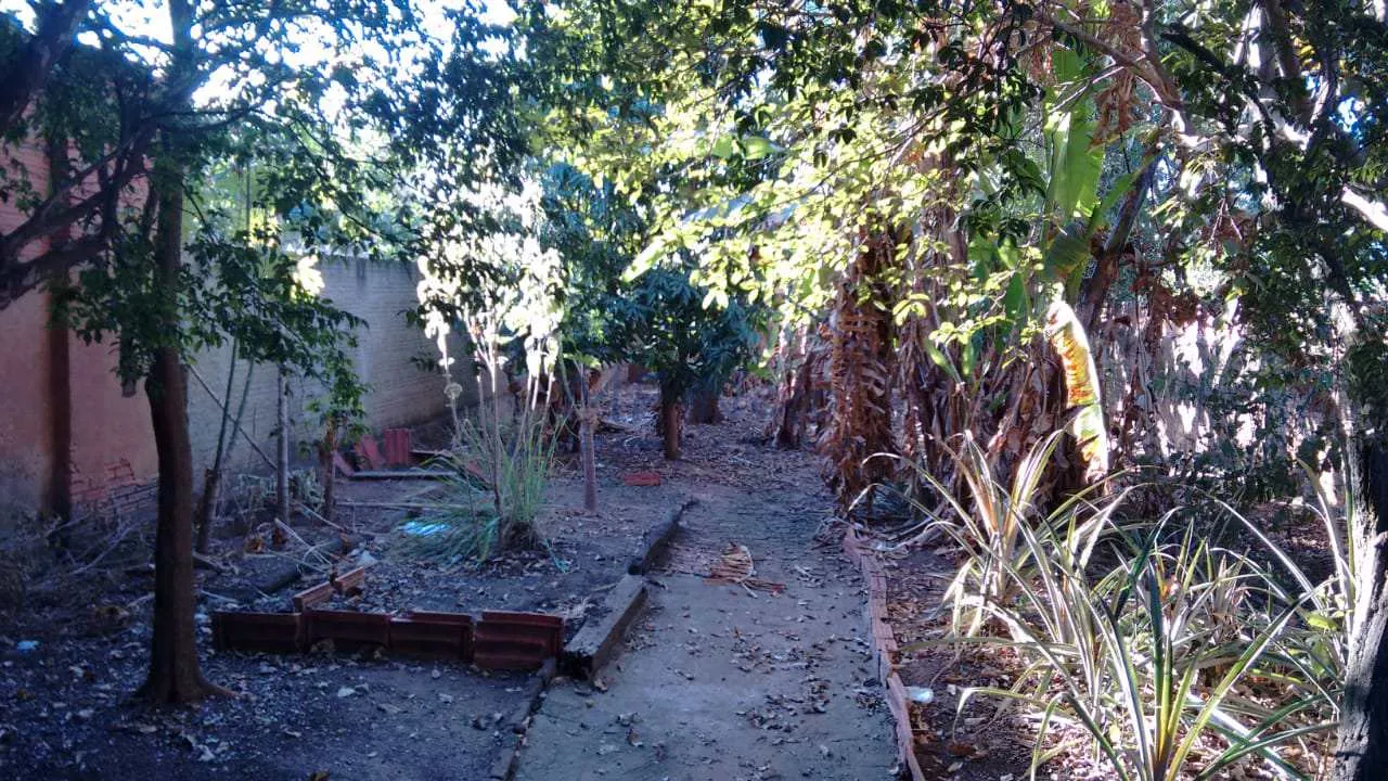 Imagem Casa Padrão