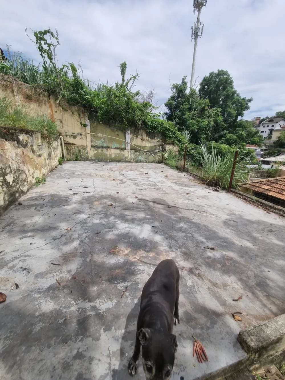 Imagem Casa a Venda no bairro Piedade - Rio de Janeiro, RJ