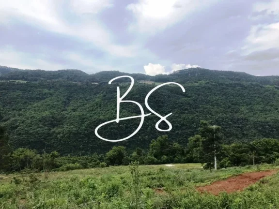 Imagem SITIO RURAL em NOVA PETRÓPOLIS - RS, Linha Pirajá Baixa