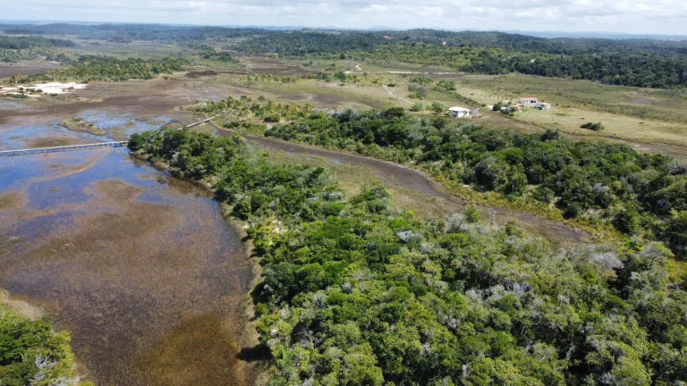 Imagem MÓDULOS RURAIS MATA ATLÂNTICA