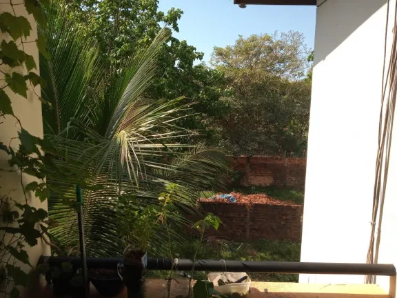 Imagem Apartamento com 2 Quartos para Alugar, 54 m² em Turu - São Luís