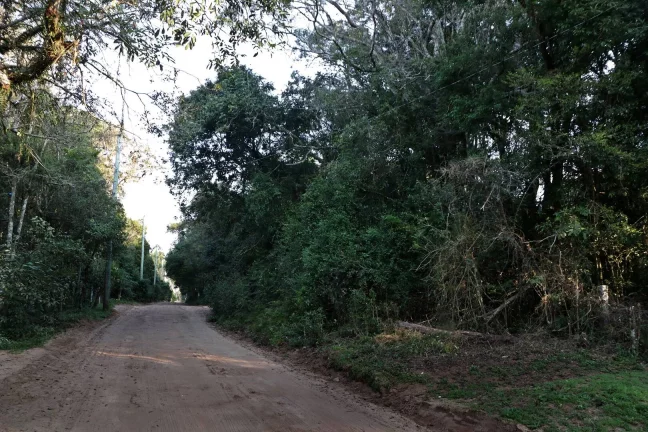 Imagem Lindos terrenos (2), belíssima mata nativa, privativo, Águas Claras