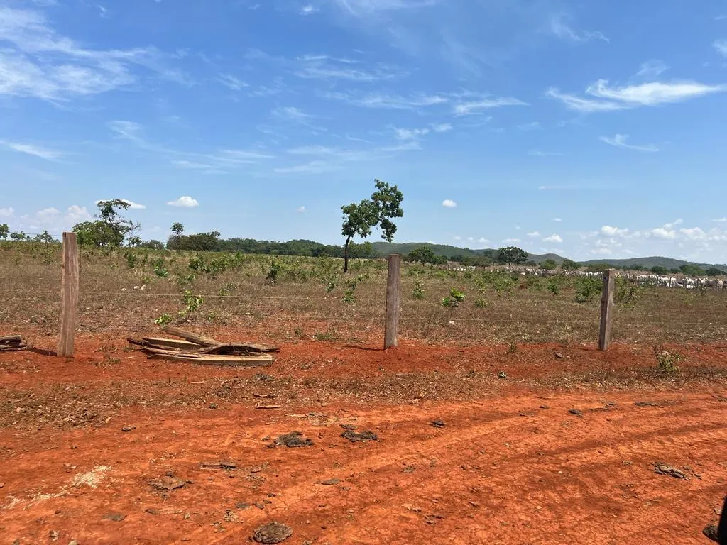 Imagem FAZENDA À VENDA - REGIÃO DE UNAÍ (MG) 1.400 hectares de terra