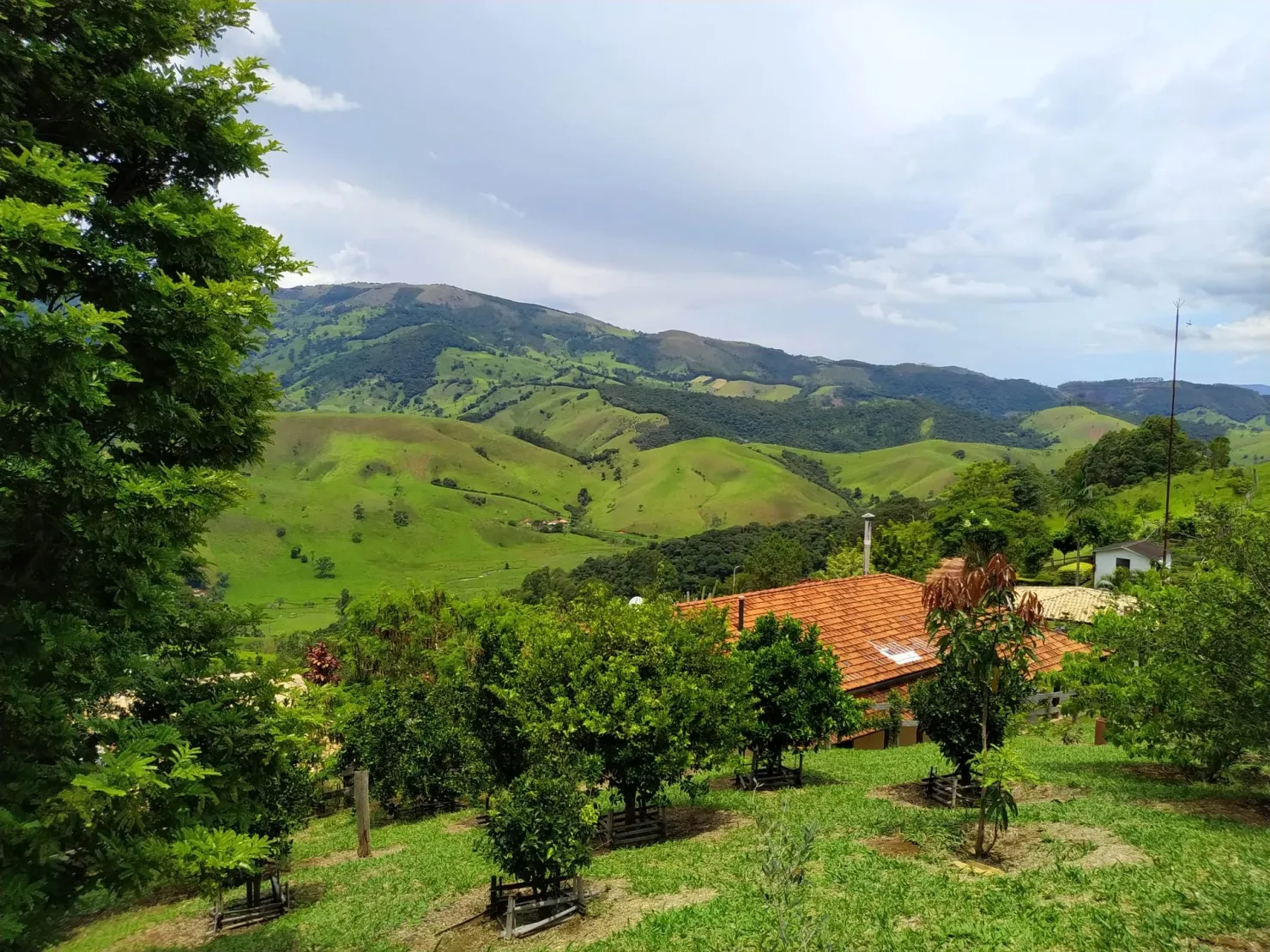 Imagem Chácara à venda 3 Quartos, 1 Suite, 1 Vaga, 121000M², Bairro dos Macacos, Silveiras - SP