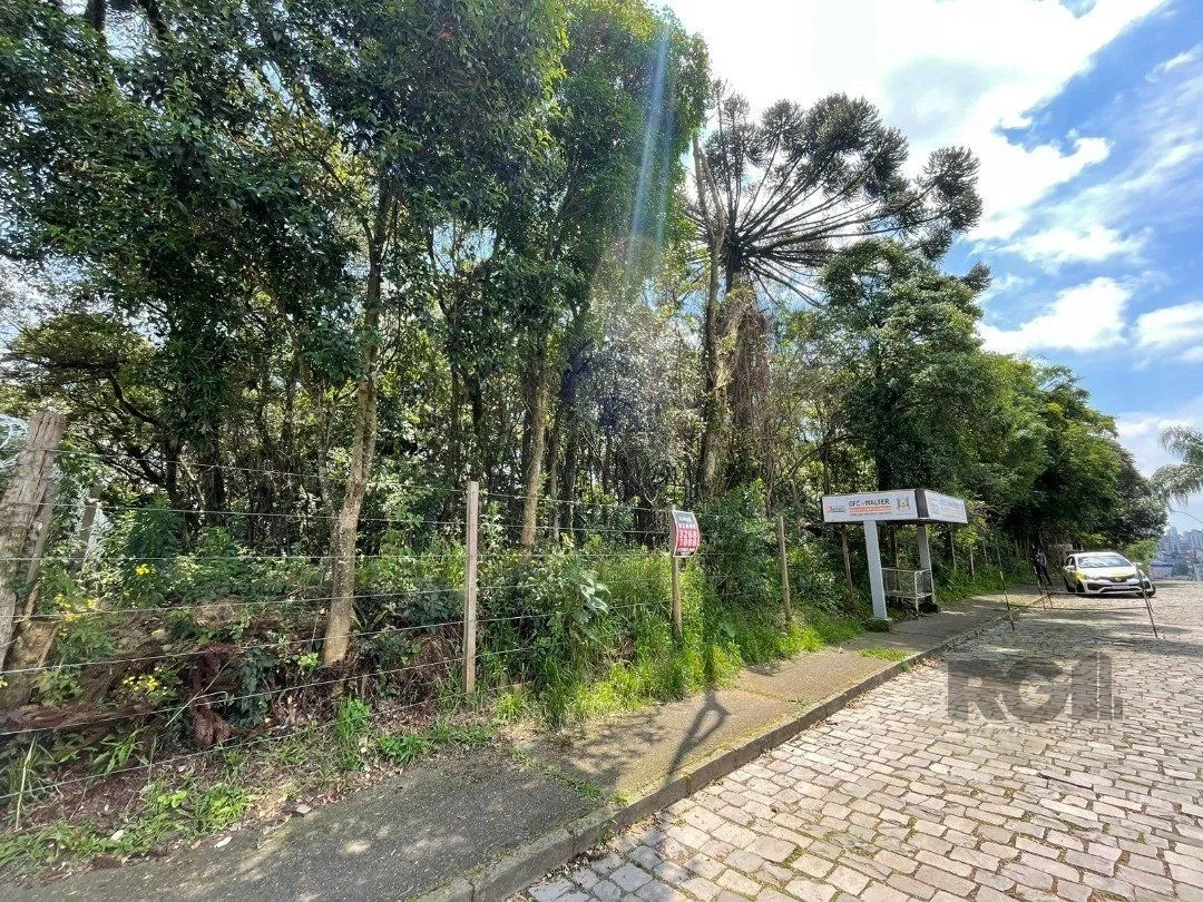 Imagem Terreno em Marechal Floriano