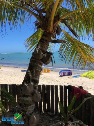 Imagem CABANA DE PRAIA ECOLÓGICA EM PORTO SEGURO