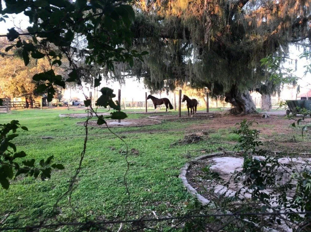 Imagem Terreno em Belém Novo