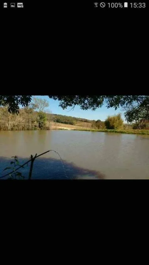 Imagem Terreno à Venda em Piedade dos Gerais / MG 15 hectares de área total