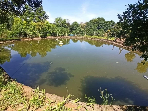 Imagem Chácara para Venda em Concórdia, Rural, 3 dormitórios, 1 banheiro