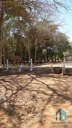 Imagem Fazenda linda 39 alqueires, com casa peão e casa sede, Município de Mossamedes GO